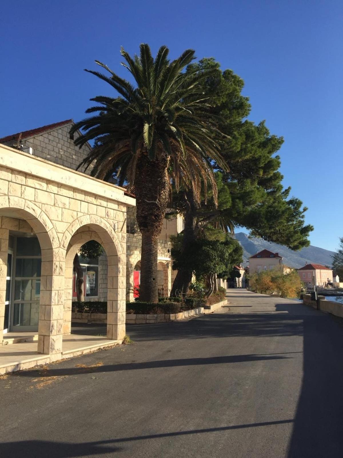 Villa Vinka Orebić Dış mekan fotoğraf